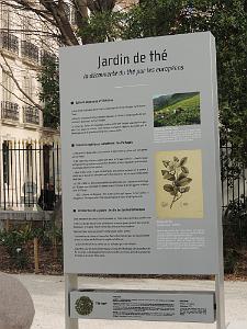 05 Jardin de The